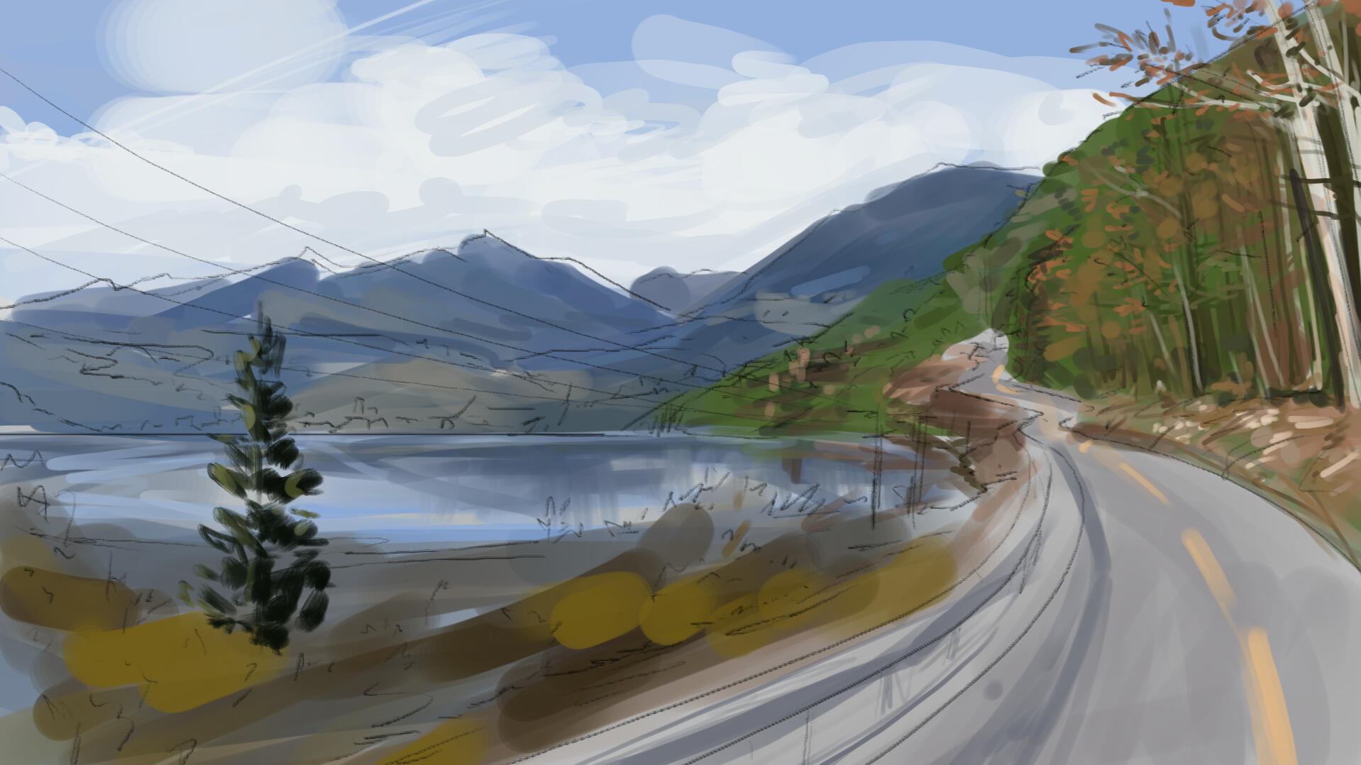 ENVIRONMENT STUDY